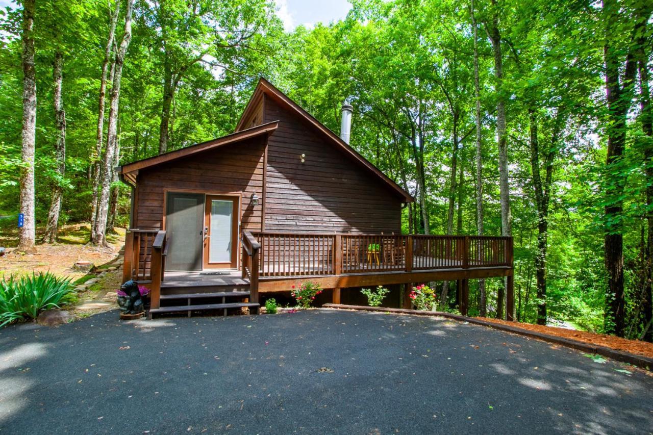 Little Cub Cottage - Mtn Views & Community Pools Гетлинбург Екстериор снимка