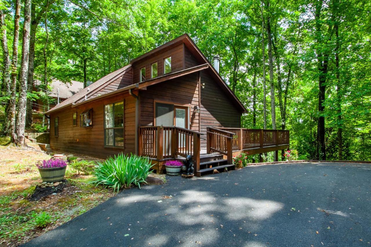 Little Cub Cottage - Mtn Views & Community Pools Гетлинбург Екстериор снимка