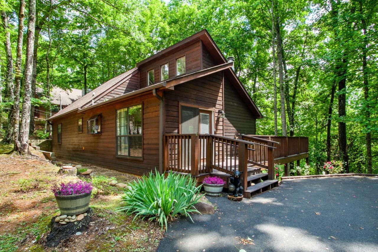 Little Cub Cottage - Mtn Views & Community Pools Гетлинбург Екстериор снимка